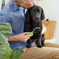 Frisco Cat & Dog Combo Brush, Mini -PetPalace Picks 206857 PT4. AC SS1800 V1680186386