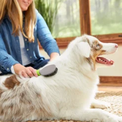 Frisco Cat & Dog Bristle Brush -PetPalace Picks 206859 PT5. AC SS1800 V1680186099