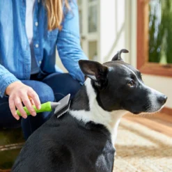 Frisco Soft Slicker Dog Brush, One Size -PetPalace Picks 206869 PT4. AC SS1800 V1680186388