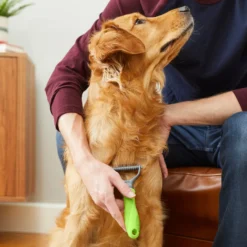 Frisco Dematting Double-Sided Dog & Cat Rake -PetPalace Picks 206875 PT6. AC SS1800 V1680186444