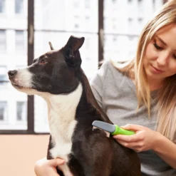 Frisco Single-Row Flea Comb For Cats & Dogs 8 Frisco Single-Row Flea Comb For Cats & Dogs -PetPalace Picks 206884 PT4. AC SS1800 V1680186103