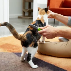 Frisco Single-Row Flea Comb For Cats & Dogs 9 Frisco Single-Row Flea Comb For Cats & Dogs -PetPalace Picks 206884 PT5. AC SS1800 V1680186100