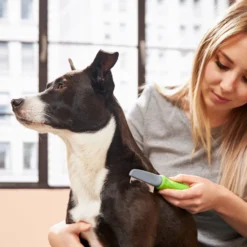 Frisco Single-Row Flea Comb For Cats & Dogs 10 Frisco Single-Row Flea Comb For Cats & Dogs -PetPalace Picks 206884 PT7. AC SS1800 V1600915983