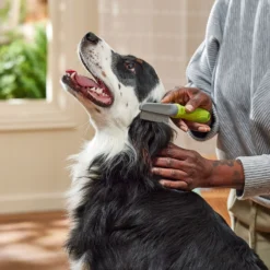 Frisco Double-Row Flea Comb For Cats & Dogs 7 Frisco Double-Row Flea Comb For Cats & Dogs -PetPalace Picks 206886 PT3. AC SS1800 V1680186388