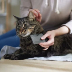 Frisco Flea Comb For Cats & Dogs -PetPalace Picks 206888 PT4. AC SS1800 V1680186101