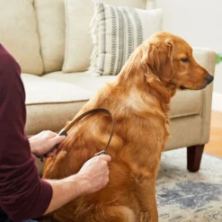 Frisco Shedding Blade Dog Brush, One Size -PetPalace Picks 206895 PT6. AC SS1800 V1680186099