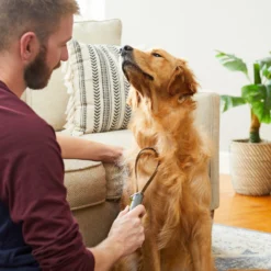 Frisco Shedding Blade Dog Brush, One Size -PetPalace Picks 206895 PT7. AC SS1800 V1680186159