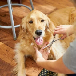 Frisco Curved-Tip Dog & Cat Shears -PetPalace Picks 206897 PT6. AC SS1800 V1680186158