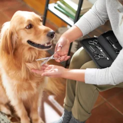 Frisco Shears Kit For Cats And Dogs 9 Frisco Shears Kit For Cats And Dogs -PetPalace Picks 206903 PT4. AC SS1800 V1604009923