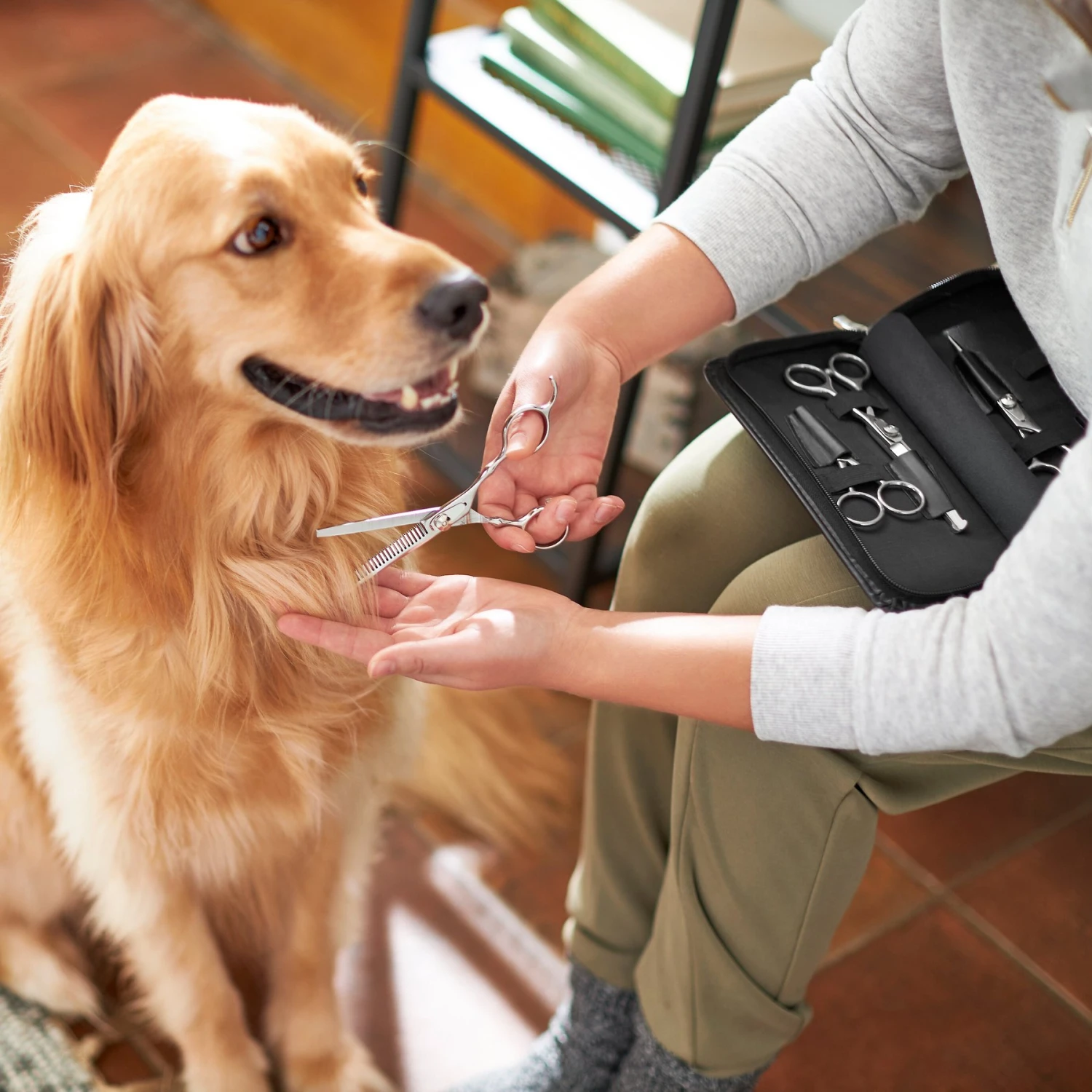 Frisco Shears Kit For Cats And Dogs 4 Frisco Shears Kit For Cats And Dogs - Image 4