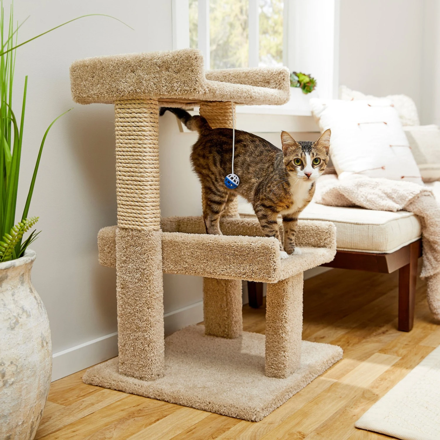 Frisco 32-in Real Carpet Wooden Cat Tree With Toy 1 Frisco 32-in Real Carpet Wooden Cat Tree With Toy