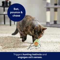 Frisco Dangly Avocado Buddy Plush Cat Toy With Catnip 8 Frisco Dangly Avocado Buddy Plush Cat Toy With Catnip -PetPalace Picks 213846 PT5. AC SS1800 V1691784029