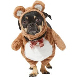Frisco Front Walking Teddy Bear Dog & Cat Costume