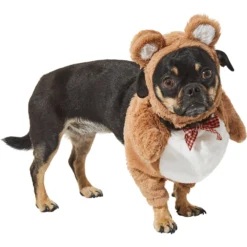 Frisco Front Walking Teddy Bear Dog & Cat Costume -PetPalace Picks 215507 PT3. AC SS1800 V1624402415