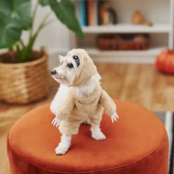 Frisco Front Walking Sloth Dog & Cat Costume -PetPalace Picks 215539 PT8. AC SS1800 V1599141353