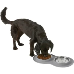 Frisco Double Stainless Steel Pet Bowl With Silicone Mat 13 Frisco Double Stainless Steel Pet Bowl With Silicone Mat -PetPalace Picks 215986 PT5. AC SS1800 V1605652436