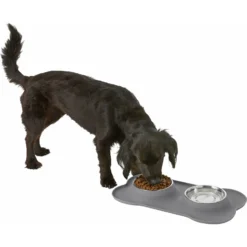 Frisco Silicone Stainless Steel Double Diner Dog & Cat Bowl -PetPalace Picks 215990 PT5. AC SS1800 V1605662218