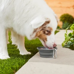 Frisco Silicone Collapsible Travel Bowl With Carabiner -PetPalace Picks 216036 PT7. AC SS1800 V1605656224