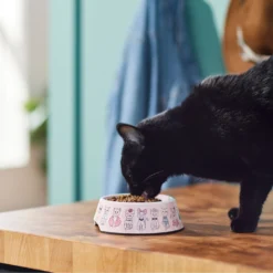 Frisco Pink Cute Cats Melamine Bowl 11 Frisco Pink Cute Cats Melamine Bowl -PetPalace Picks 216043 PT7. AC SS1800 V1633025211