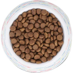 Frisco Colorful Fish Melamine Bowl -PetPalace Picks 216047 PT4. AC SS1800 V1591020721