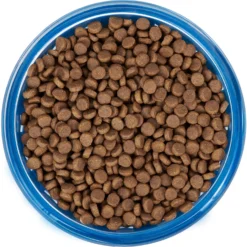 Frisco Chevron Design Glass Bowl With Silicone Sleeve -PetPalace Picks 216049 PT4. AC SS1800 V1591020735