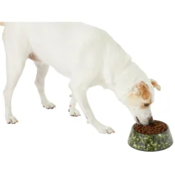 Frisco Camo Paint Splashed Melamine Bowl 12 Frisco Camo Paint Splashed Melamine Bowl -PetPalace Picks 216066 PT6. AC SS1800 V1605666935