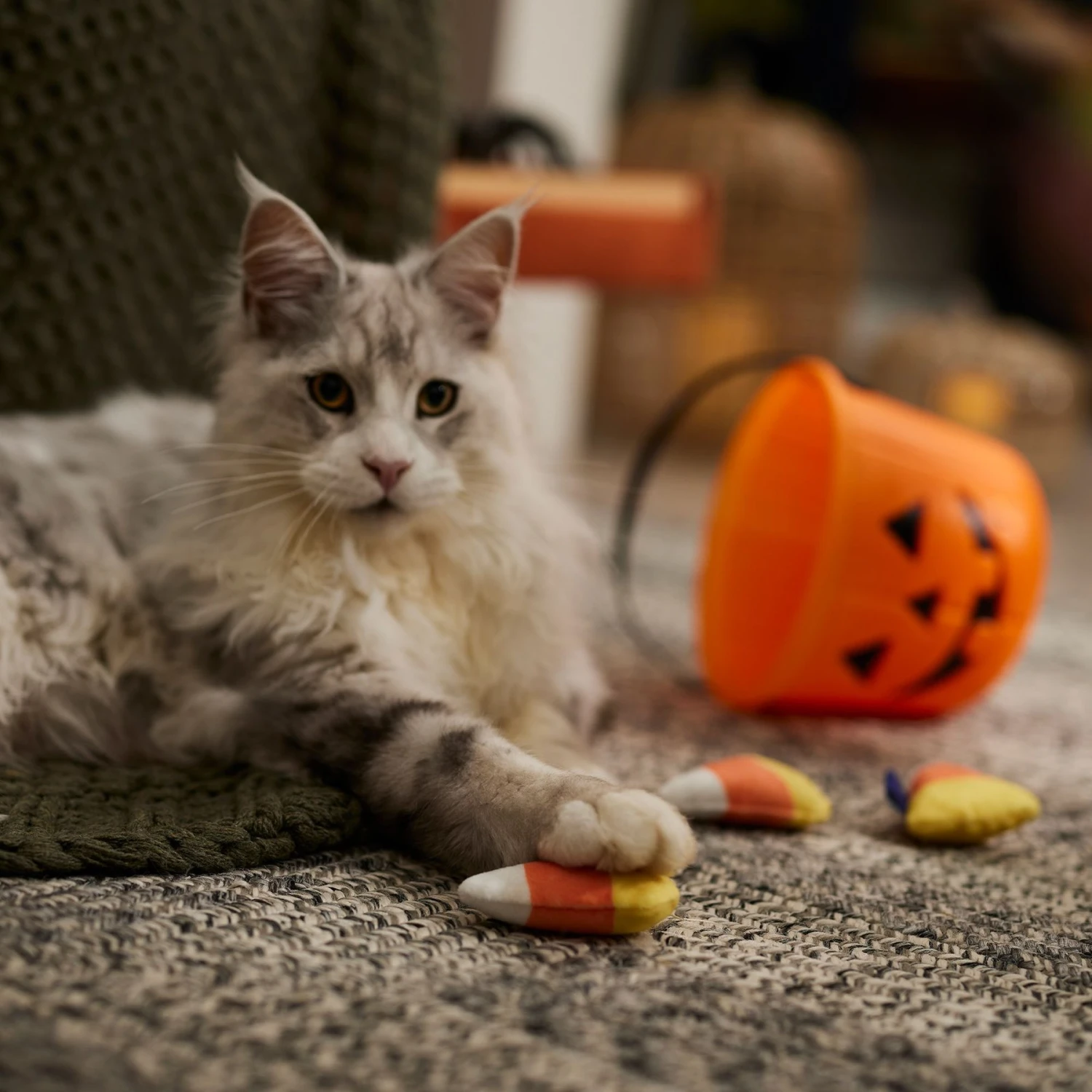 Frisco Halloween Candy Corn Plush Cat Toy With Catnip 3 Frisco Halloween Candy Corn Plush Cat Toy With Catnip - Image 3