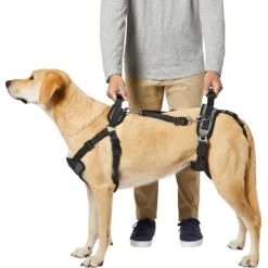 Frisco Front & Rear Lift Handicapped Support Dog Harness -PetPalace Picks 220372 PT5. AC SS1800 V1605749597
