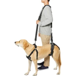 Frisco Front & Rear Lift Handicapped Support Dog Harness -PetPalace Picks 220372 PT6. AC SS1800 V1605758261