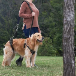 Frisco Front & Rear Lift Handicapped Support Dog Harness -PetPalace Picks 220372 PT7. AC SS1800 V1605738439