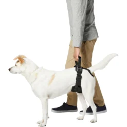 Frisco Rear Lift Handicapped Support Dog Harness 9 Frisco Rear Lift Handicapped Support Dog Harness -PetPalace Picks 220374 PT5. AC SS1800 V1605743213