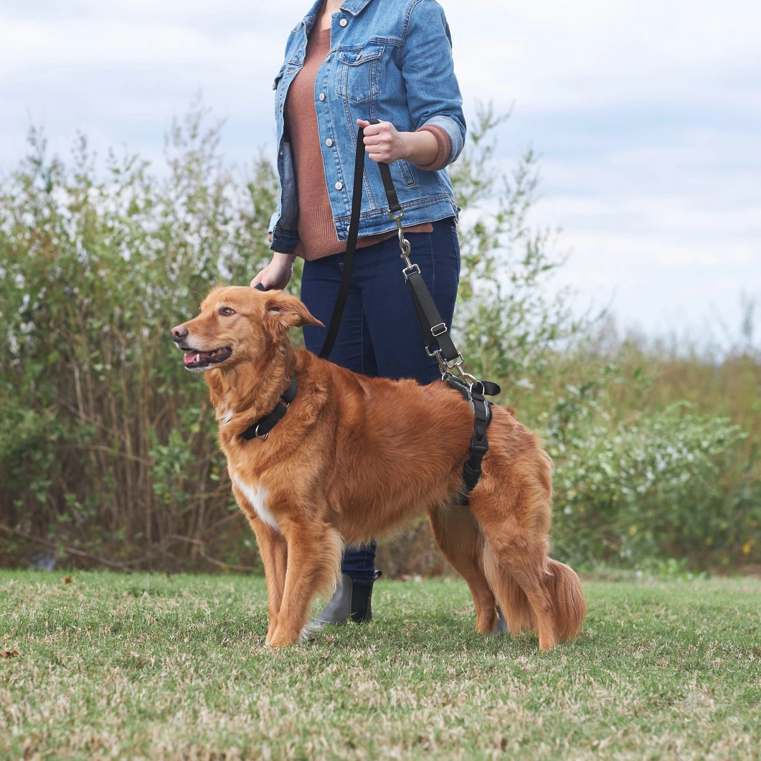 Frisco Rear Lift Handicapped Support Dog Harness 6 Frisco Rear Lift Handicapped Support Dog Harness - Image 6