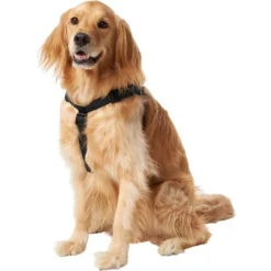 Frisco Nylon Step In Back Clip Dog Harness -PetPalace Picks 220519 PT2. AC SS1800 V1605591714
