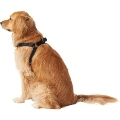 Frisco Nylon Step In Back Clip Dog Harness -PetPalace Picks 220519 PT3. AC SS1800 V1605593555