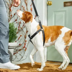 Frisco Nylon Step In Back Clip Dog Harness -PetPalace Picks 220519 PT4. AC SS1800 V1605582116