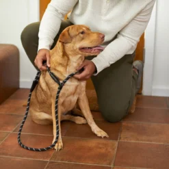 Frisco Reflective Rope Slip Lead Dog Leash -PetPalace Picks 221212 PT4. AC SS1800 V1699388234