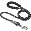 Frisco Rope Dog Leash With Padded Handle