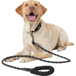 Frisco Rope Dog Leash With Padded Handle -PetPalace Picks 221218 PT3. AC SS1800 V1701796765