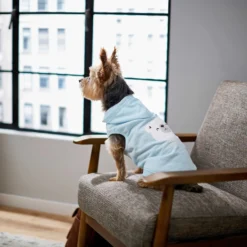 Frisco Mommy's Little Bear Dog & Cat Hoodie 14 Frisco Mommy's Little Bear Dog & Cat Hoodie -PetPalace Picks 224272 PT6. AC SS1800 V1637715724