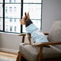 Frisco Mommy's Little Bear Dog & Cat Hoodie 15 Frisco Mommy's Little Bear Dog & Cat Hoodie -PetPalace Picks 224272 PT7. AC SS1800 V1599924073