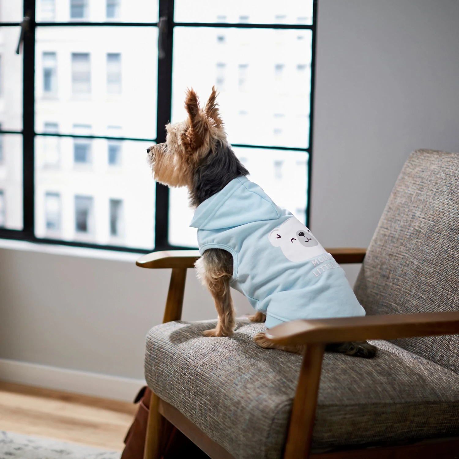 Frisco Mommy's Little Bear Dog & Cat Hoodie 8 Frisco Mommy's Little Bear Dog & Cat Hoodie - Image 8