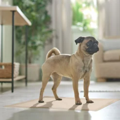 Frisco Large Eco-Conscious Dog Training & Potty Pads -PetPalace Picks 227438 PT6. AC SS1800 V1674665619