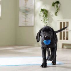 Frisco Premium Extra Large Printed Dog Training & Potty Pads 15 Frisco Premium Extra Large Printed Dog Training & Potty Pads -PetPalace Picks 227468 PT6. AC SS1800 V1674666681