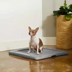 Frisco Training Pad Holder 10 Frisco Training Pad Holder -PetPalace Picks 227474 PT6. AC SS1800 V1604701643