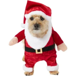 Frisco Front Walking Santa Dog & Cat Costume, 1 Count