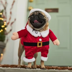Frisco Front Walking Santa Dog & Cat Costume, 1 Count -PetPalace Picks 228785 PT7. AC SS1800 V1601560869