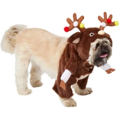 Frisco Front Walking Reindeer Dog & Cat Costume, 1 Count -PetPalace Picks 228790 PT3. AC SS1800 V1631299657