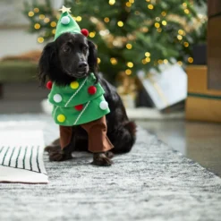 Frisco Front Walking Christmas Tree Dog & Cat Costume 12 Frisco Front Walking Christmas Tree Dog & Cat Costume -PetPalace Picks 229164 PT7. AC SS1800 V1601385981