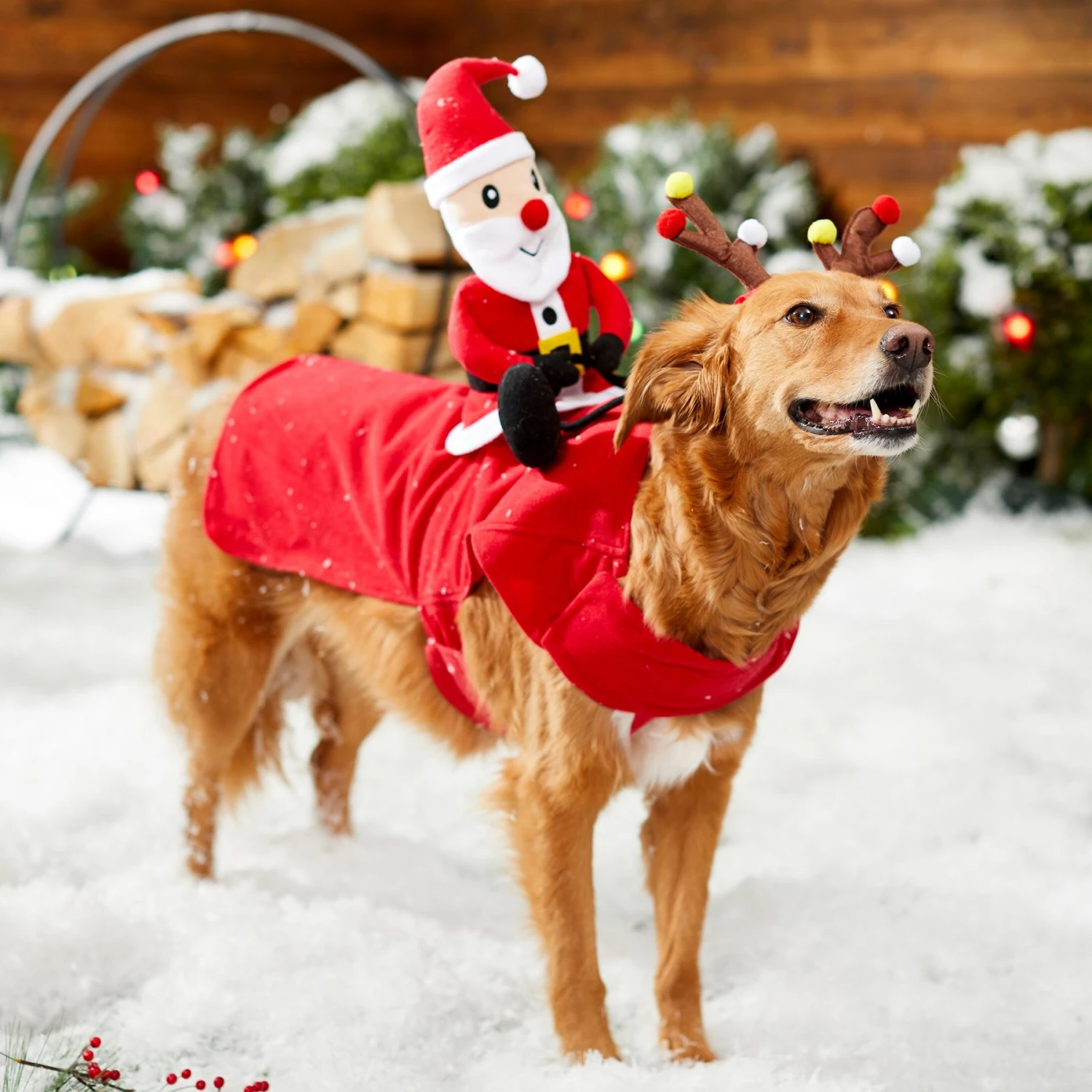 Frisco Santa Rider Dog & Cat Costume 6 Frisco Santa Rider Dog & Cat Costume - Image 6