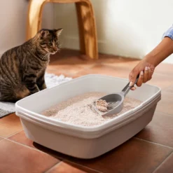 Frisco Natural Lightly Scented Clumping Grass Cat Litter -PetPalace Picks 230714 PT4. AC SS1800 V1659023184